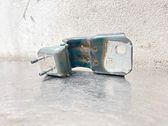 Tailgate/trunk/boot hinge