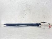 Tailgate/trunk strut/damper
