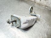 Rear door lower hinge
