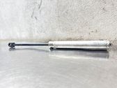 Hydraulikzylinder Verdeck