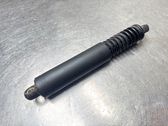 Tailgate/trunk strut/damper