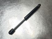 Tailgate/trunk strut/damper