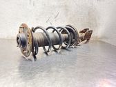 Front shock absorber with coil spring