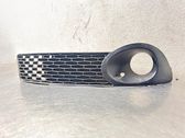 Front fog light trim/grill