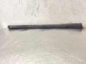 Front door trim (molding)