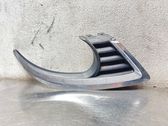 Front fog light trim/grill