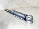 Stoßdämpfer hinten