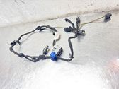 Kabelbaum Leitungssatz Einparkhilfe Parktronic PDC