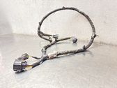 Other wiring loom