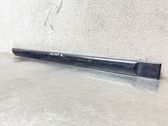 Rear door trim (molding)