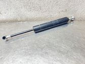 Tailgate/trunk strut/damper