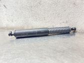 Tailgate/trunk strut/damper