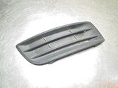 Front bumper lower grill