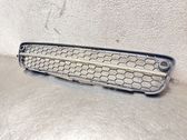 Front grill