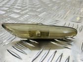 Front fender indicator light