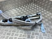 Roof airbag