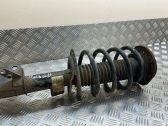 Front shock absorber with coil spring