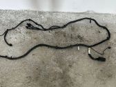 Engine installation wiring loom