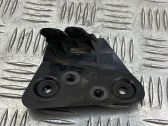 Fender trim (molding)
