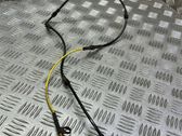Rear ABS sensor wiring