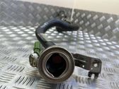 Fuel tank filler neck pipe