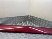Front door trim (molding)