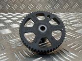 Camshaft pulley/ VANOS