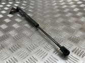 Front bonnet/hood damper/strut