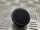 Rear door speaker