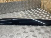 Windshield trim