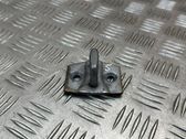 Rear door lock loop/hook striker