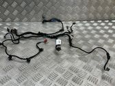 Cableado de puerta trasera