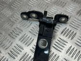 Tailgate/trunk/boot hinge