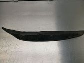 Fender end trim