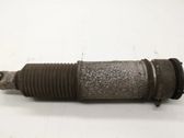 Rear shock absorber/damper