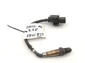 Sonde lambda