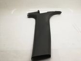 (B) pillar trim (top)