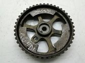 Crankshaft pulley