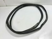 Trunk rubber seal (body)