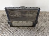 Radiator set