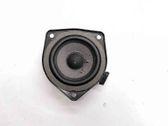 Panel speaker