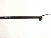 Tailgate/trunk strut/damper