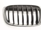 Front grill