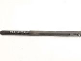 Tailgate/trunk strut/damper