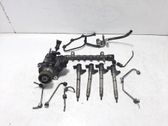 Fuel injection system set