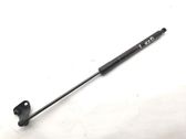 Tailgate/trunk strut/damper