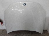 Motorhaube