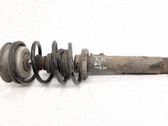 Front shock absorber/damper