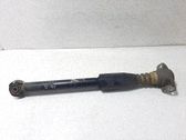Rear shock absorber/damper