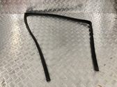 Front door glass trim molding